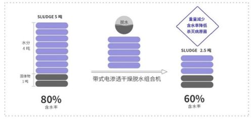 新環環保 污泥處置先進技術產品服務商，引領綠色環保新未來